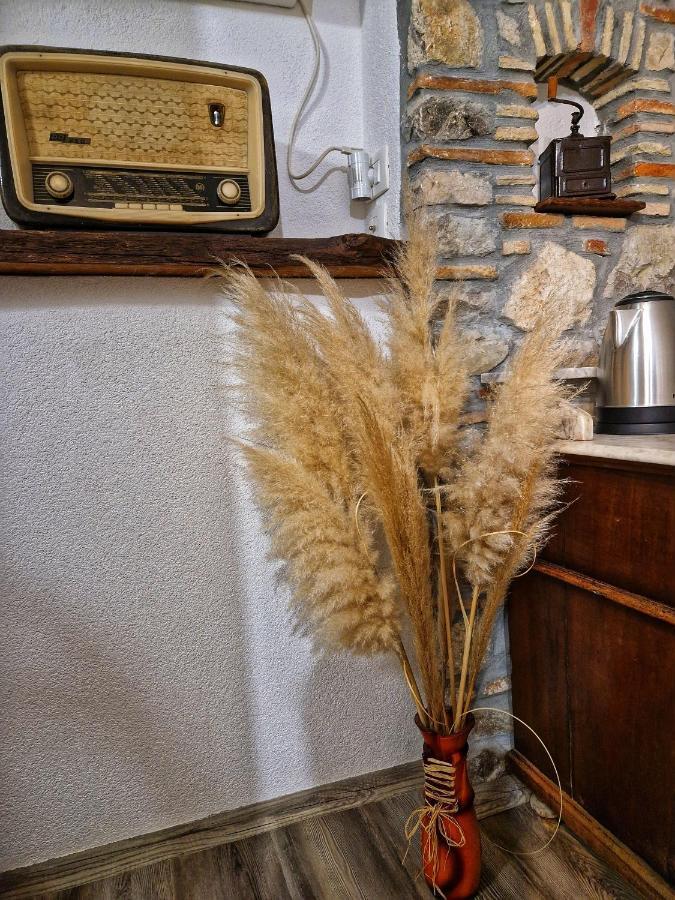 Villa Casa Luana Roč Esterno foto