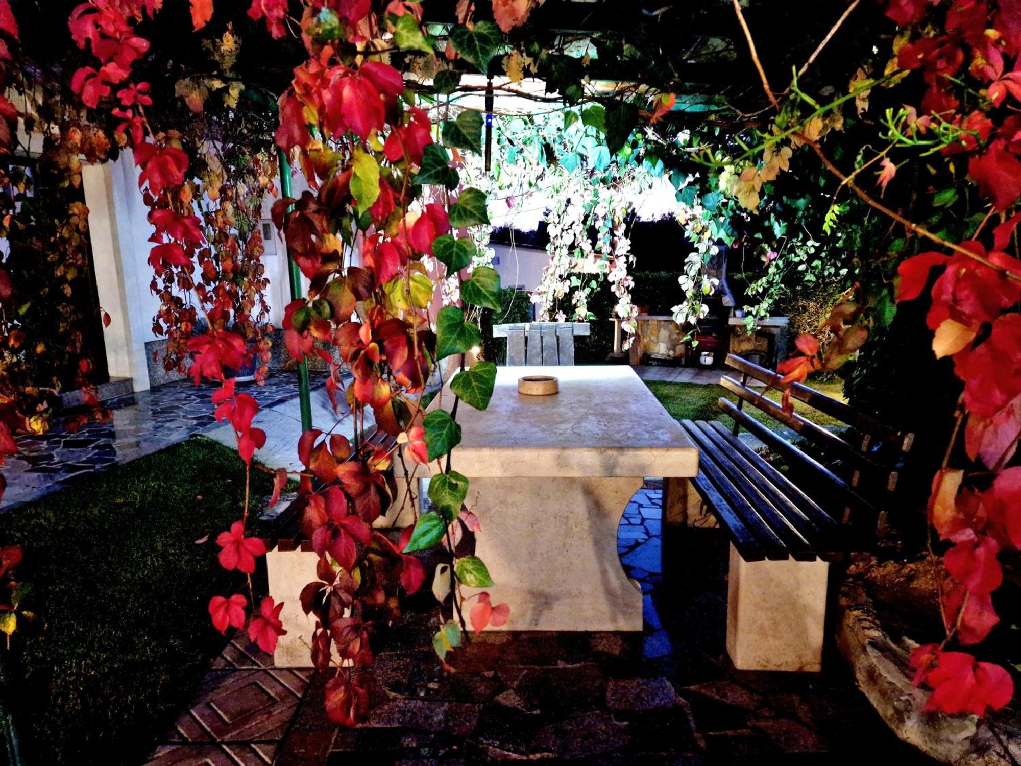 Villa Casa Luana Roč Esterno foto